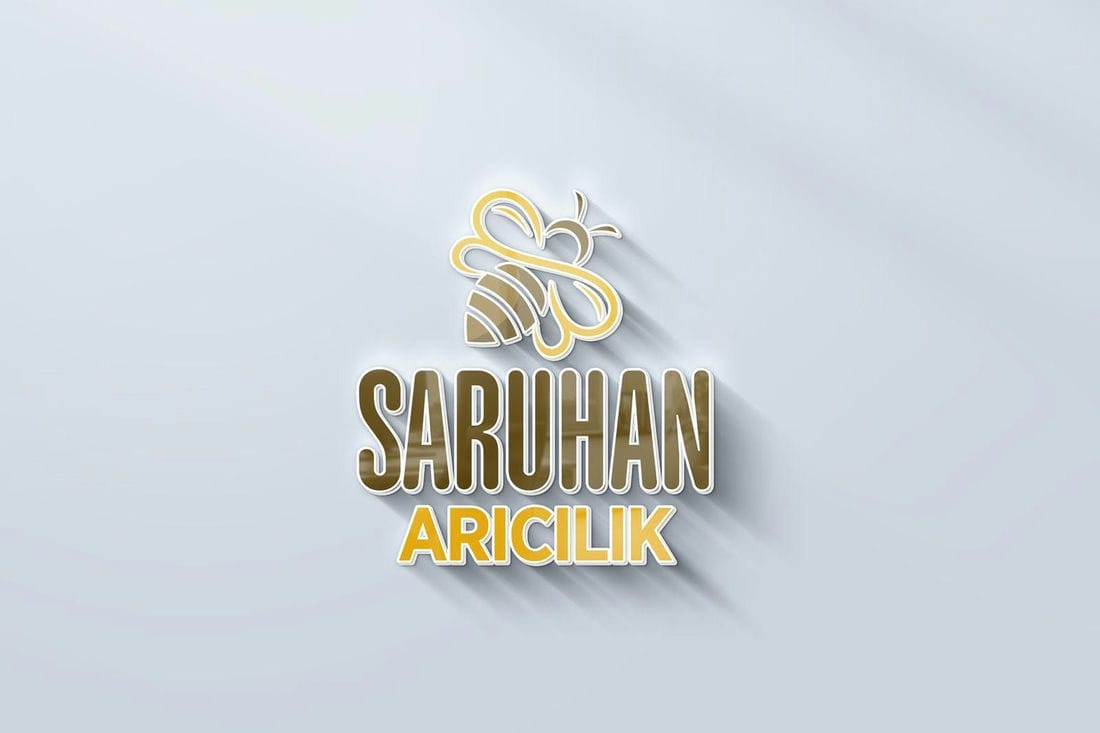 Whatsapp image 2025-09-17 at 07